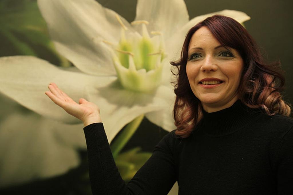 Autors: Gatis Bogdanovs