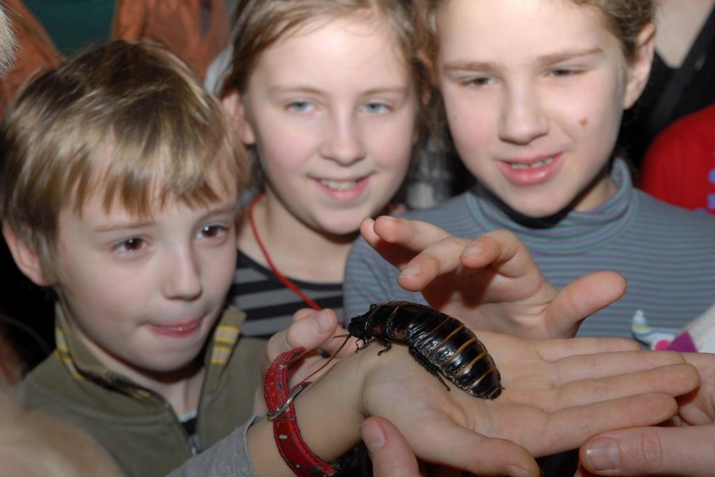 Autors: No Rīgas zooloģiskā dārza arhīva