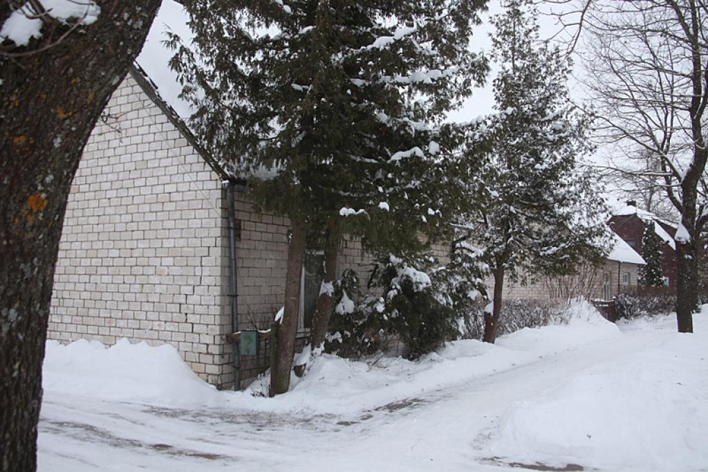 Konkrēts piemērs. Uz privātās zemes pie ģimenes mājas bīstami pamatos ieaugusi tūja, kura var kuru katru brīdi nolūzt. Tomēr, lai šo koku likumīgi nozāģētu, zemes īpašniekam vispirms ir jādodas uz pašvaldību rakstīt iesniegumu ciršanas atļaujas saņemšanai. Pašvaldības komisija nāks novērtēt situāciju dabā un 30 dienu laikā paziņos savu lēmumu. 
Autors: Gatis Bogdanovs