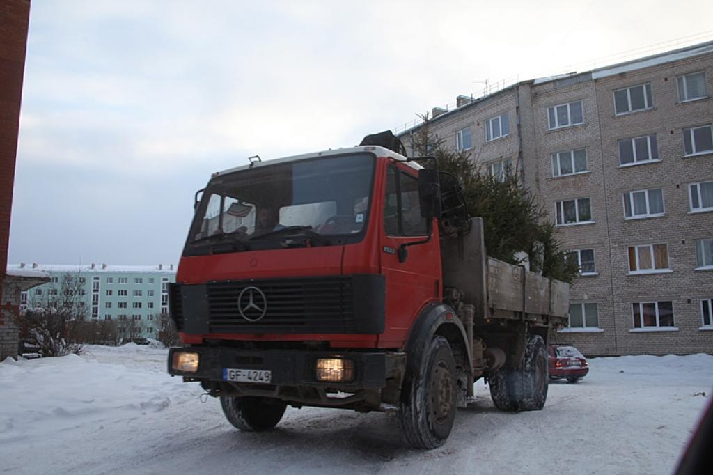 Pie atsevišķām atkritumu tvertnēm vērojams pat vesels kvantums lielāku un mazāku eglīšu. Lai tās tiktu savāktas un nemētātos apkārt, daudzdzīvokļu māju pārvaldniekiem jāsazinās ar “Gulbenes namiem”.
Autors: Gatis Bogdanovs