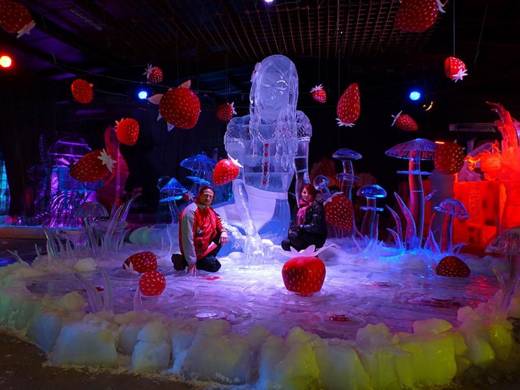 Daudzgadējaiss Jelgavas ledus skulptūru festivāla mākslinieciskais vadītājs, tēlnieks Kārlis Īle (pērn Novada svētkos Stāmerienā veidoja uguns skulptūras) un Agnese Rudzīte - Kirillova Rostokas piepilsētā Rovershāgenā (Vācija) izveidojuši lielāko un apjomīgāko ledus skulptūru, kādu jebkad no ledus pašrocīgi veidojuši latviešu mākslinieki. Tēlnieku tandēms uzbūris izstādes „Ienāc zemeņu brīnumzemē!