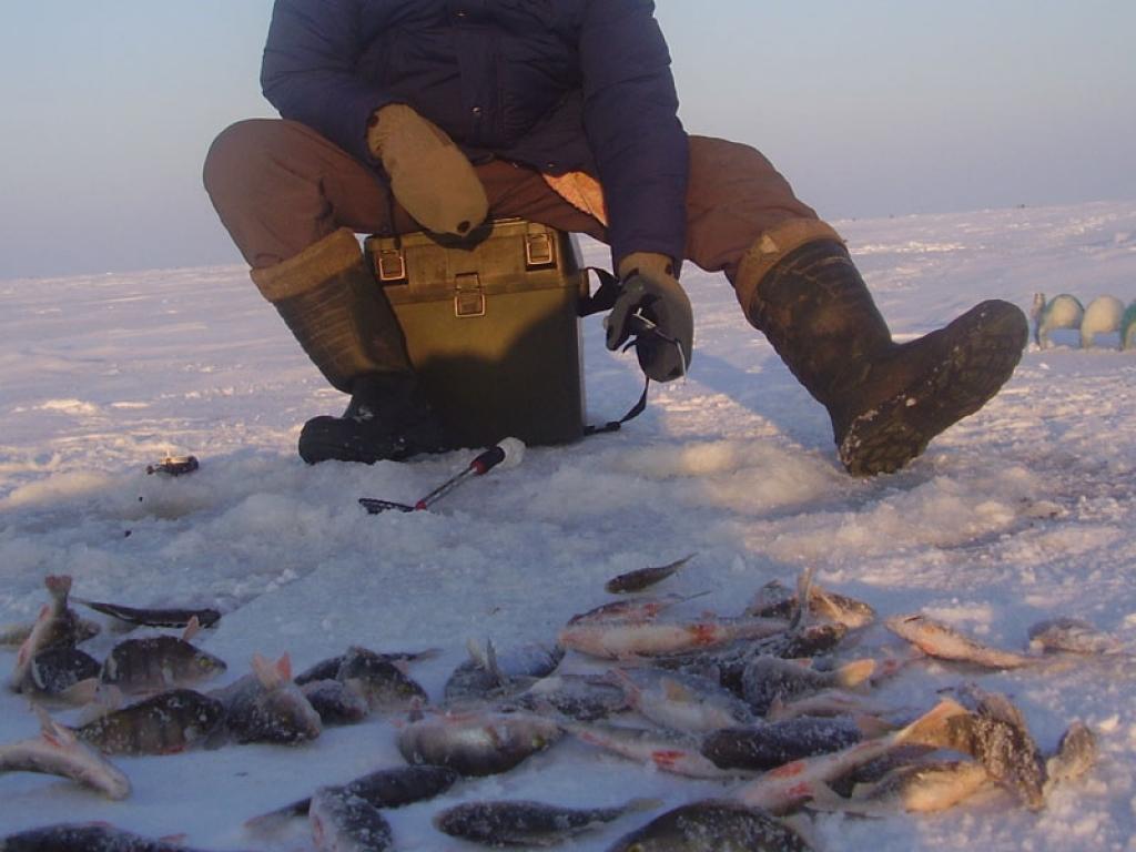 Autors: Imants Ilgažs