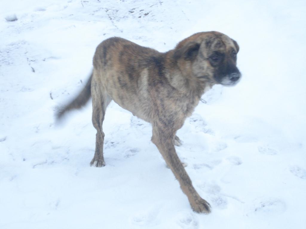 Autors: No personiskā arhīva.