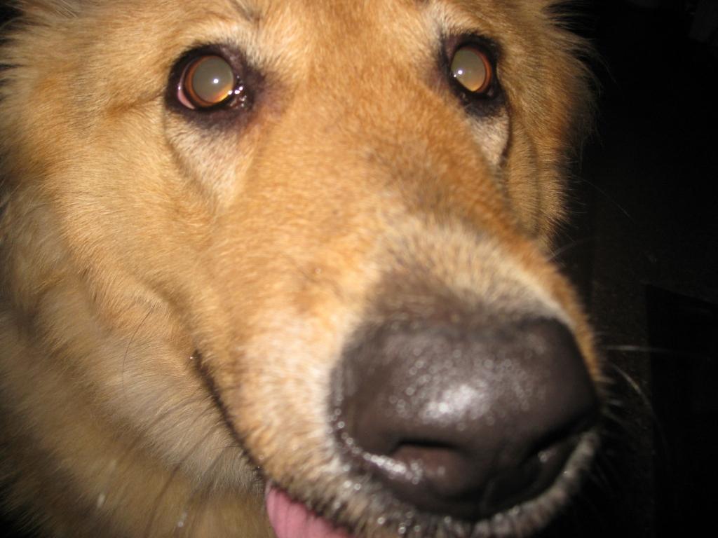 Autors: Tamāra Ulase