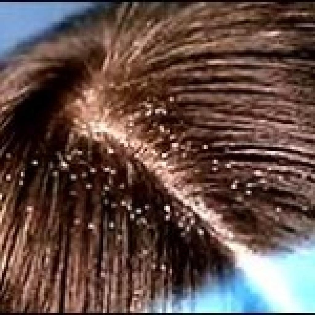 Autors: No interneta