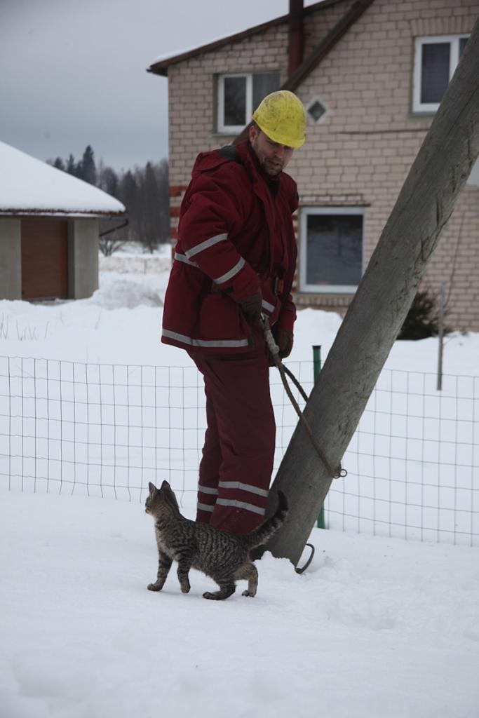 Autors: Gatis Bogdanovs