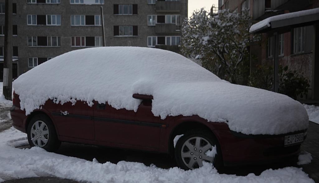 Autors: Ginta Alberte