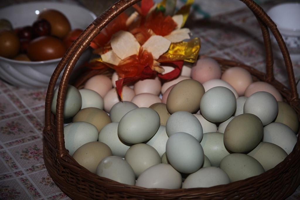 Autors: Gatis Bogdanovs