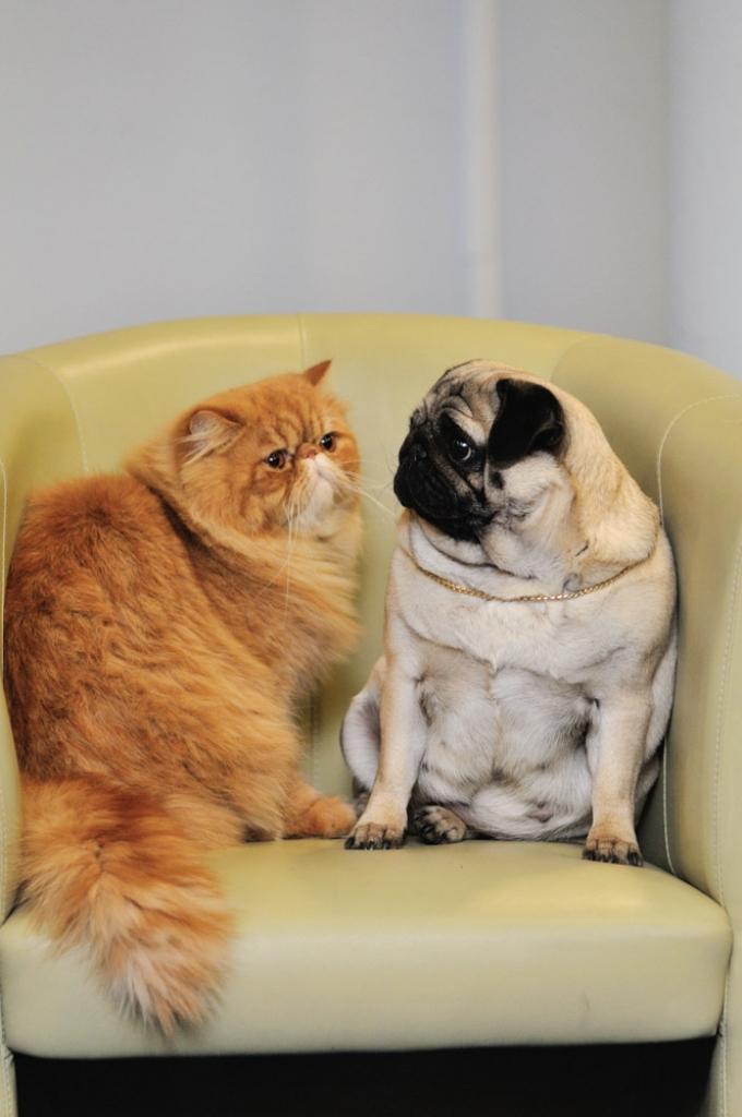 Autors: No izrādes arhīva.