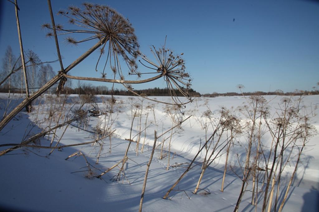 Autors: Gatis Bogdanovs