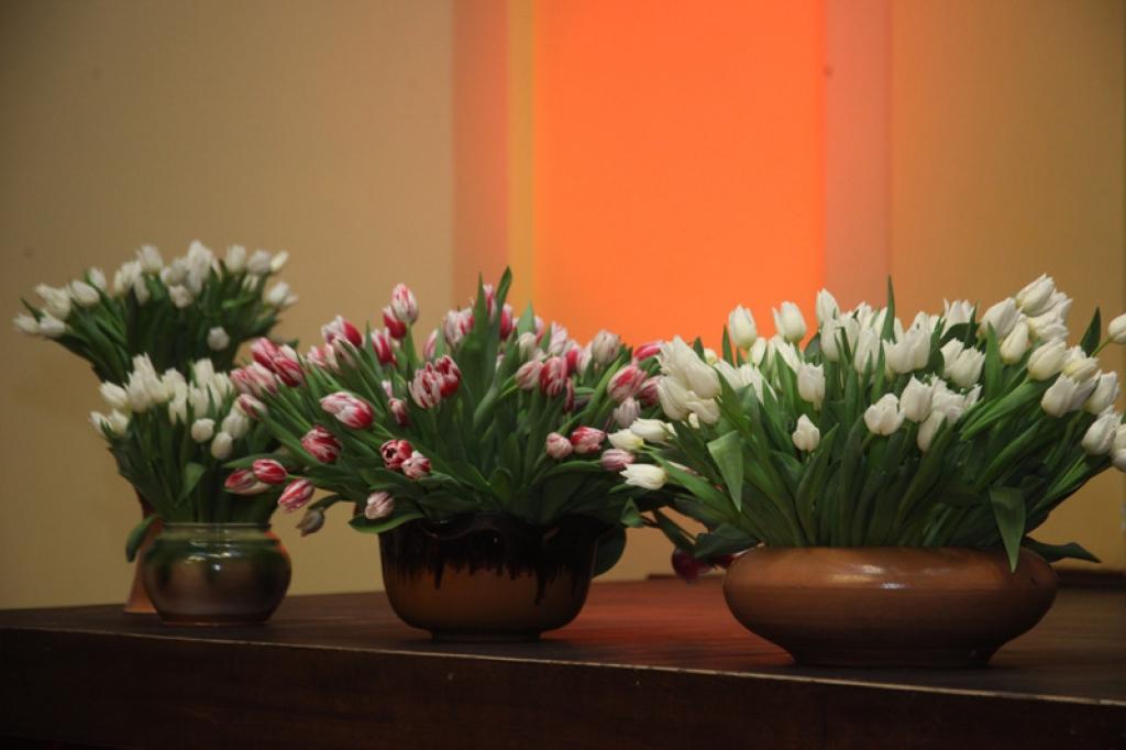 Autors: Gatis Bogdanovs