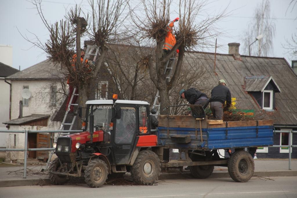 Gulbenes pilsētas labiekārtošanas iestādes strādnieki šogad pirmo reizi „frizēja” liepas pēc jaunās metodes. 
Autors: Gatis Bogdanovs