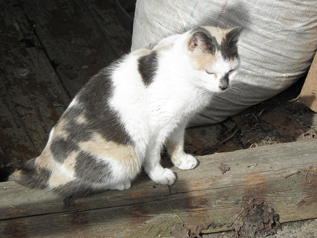 Autors: No personiskā arhīva 