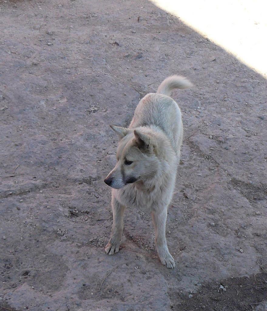 Autors: No personiskā arhīva.