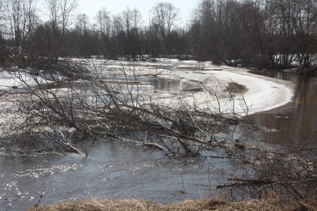 Gauja.
Autors: Gatis Bogdanovs