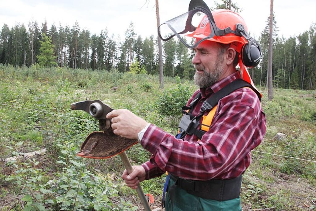 Autors: Gatis Bogdanovs (arhīvs)