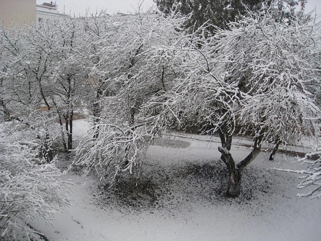 Autors: Tamāra Ulase