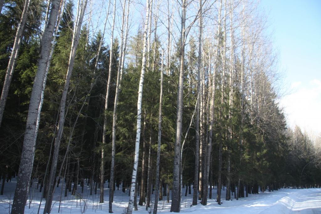 Autors: Gatis Bogdanovs