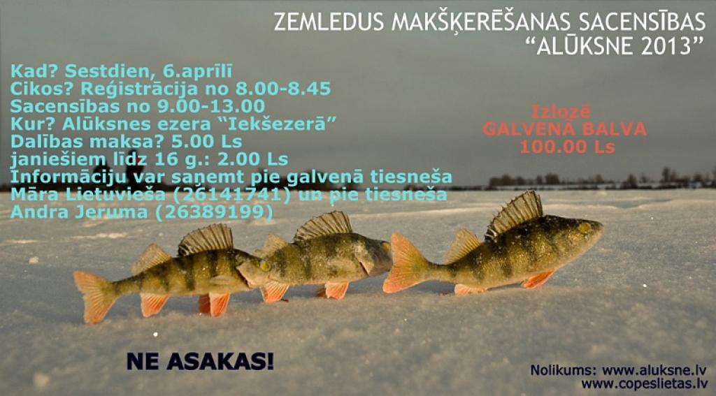 Aluksniesiem.lv raksta attēla aizvietotājs