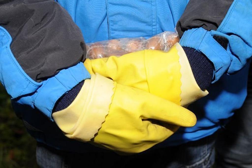 Autors: www.apollo.lv