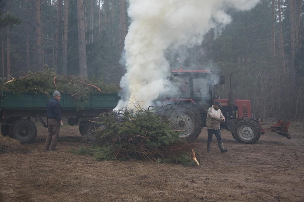 Autors: Gatis Bogdanovs