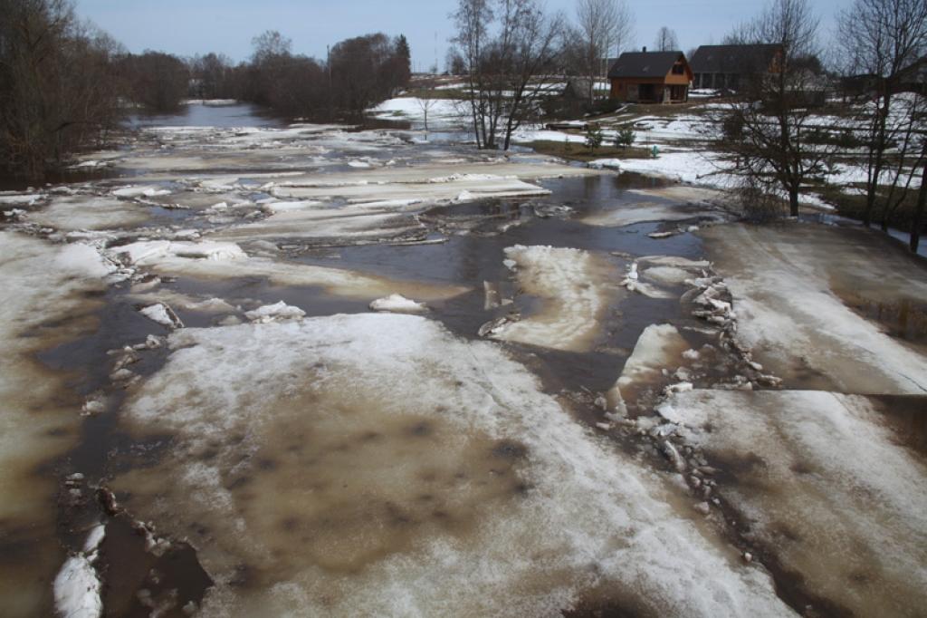 Autors: Gatis Bogdanovs