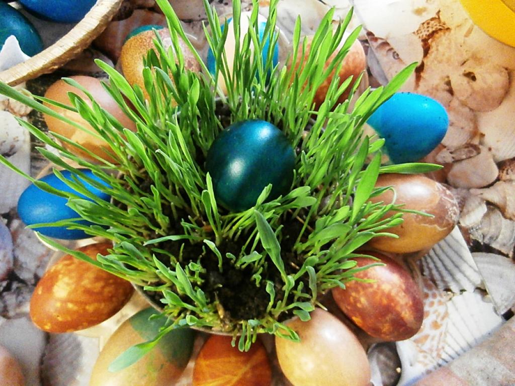 1. - 8. foto - Lolita Barkāne

9.foto - Indra Kiseļova

10., 11.foto -  Laura Romanova

12. foto - Valda Gibala

13.foto - Karina Roga

14.foto - Deila Kokareviča

15.foto - Indra Kiseļova

16. un 17.foto - Karina Roga

18.foto - Kristīne...