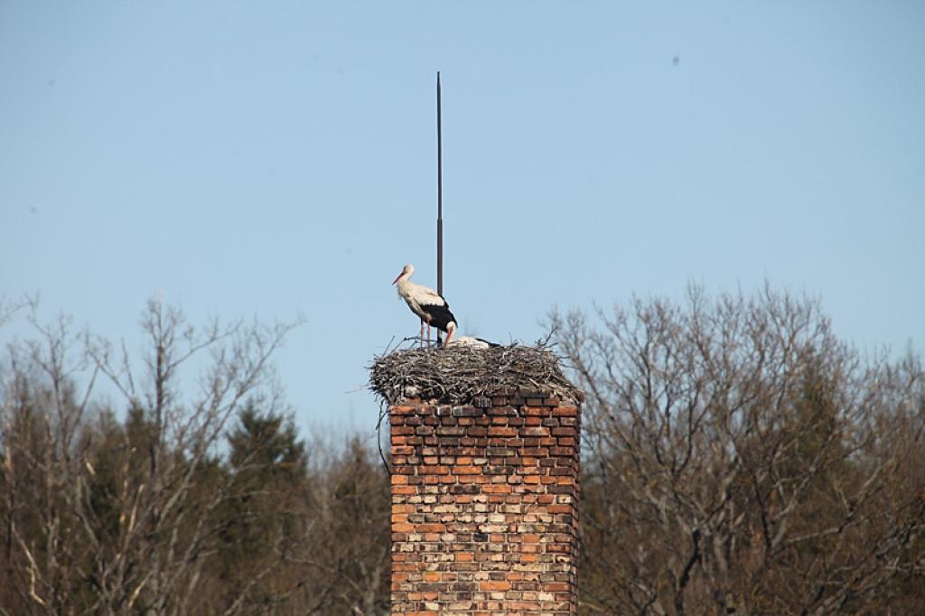 Autors: Gatis Bogdanovs