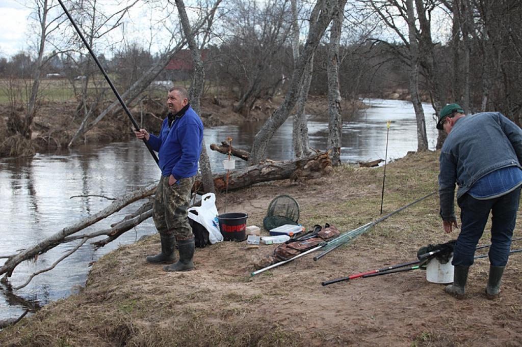 Autors: Gatis Bogdanovs