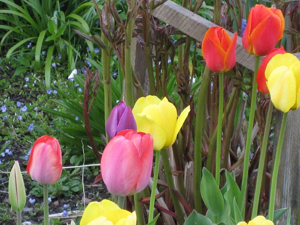 Autors: Tamāra Ulase