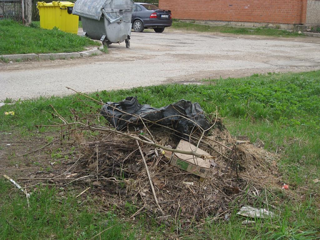 Autors: Tamāra Ulase