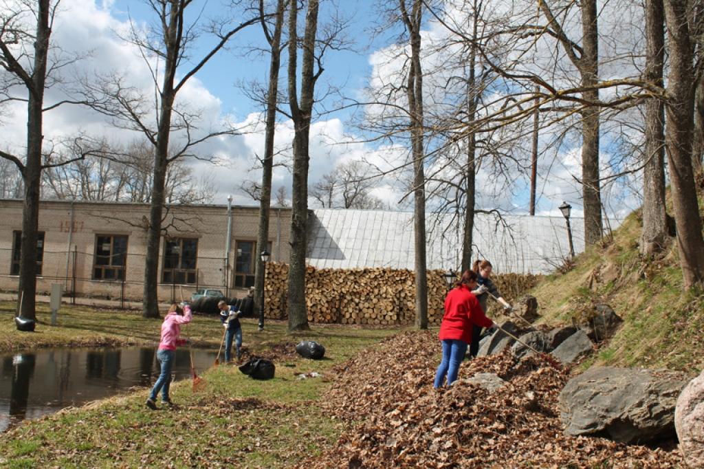 Aluksniesiem.lv raksta attēla aizvietotājs