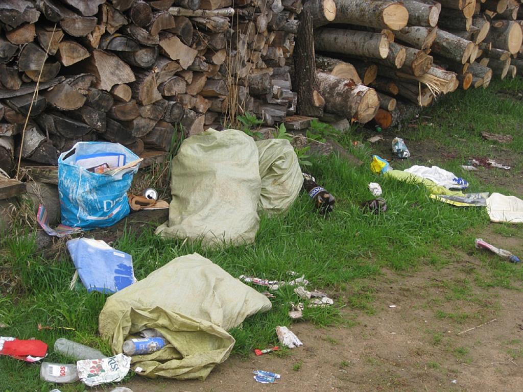 Par šiem nevietā nomestajiem sadzīves atkritumu maisiem atbildīgi esam mēs paši, jo nevēlamies paspert dažus soļus tālāk līdz atkritumu konteineram.
Autors: Tamāra Ulase