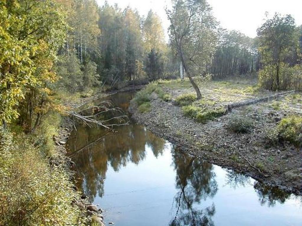 Tirzas upe.
Autors: No interneta