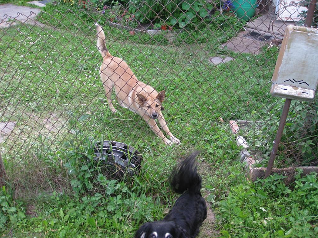 Autors: No personiskā arhīva 