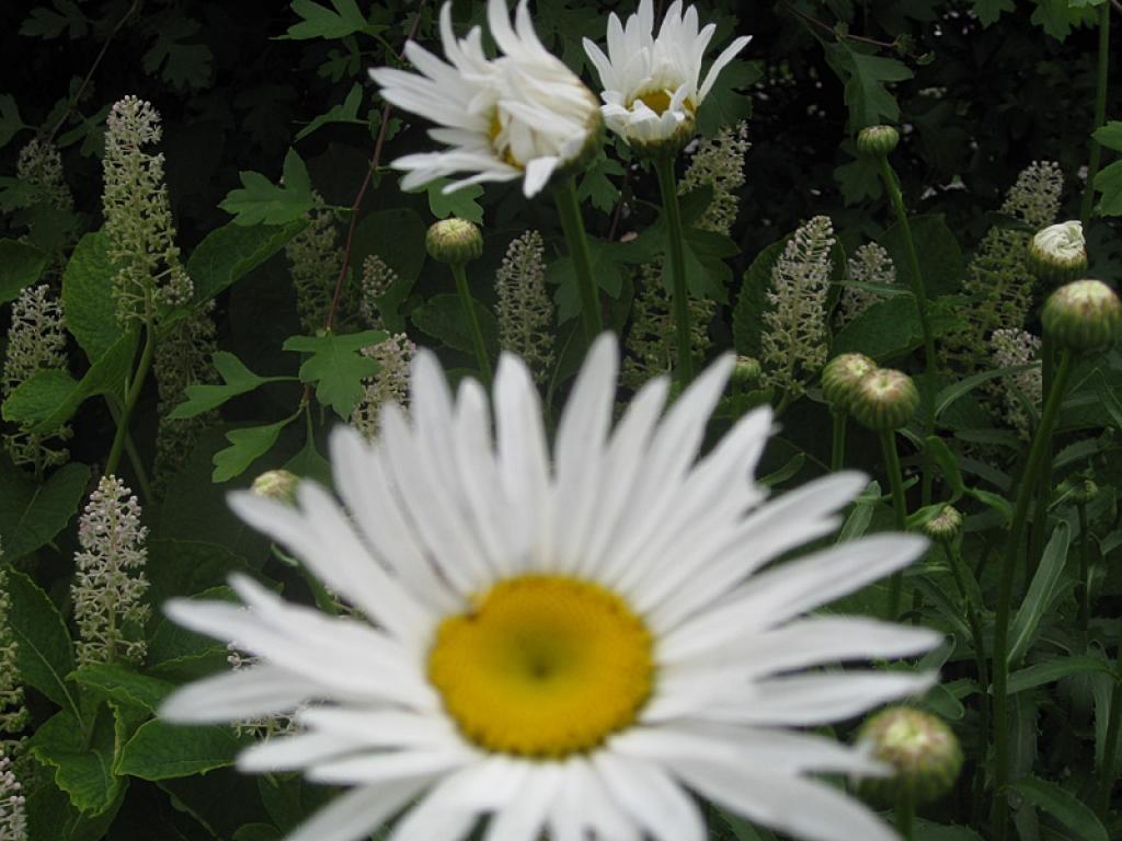 Autors: Tamāra Ulase