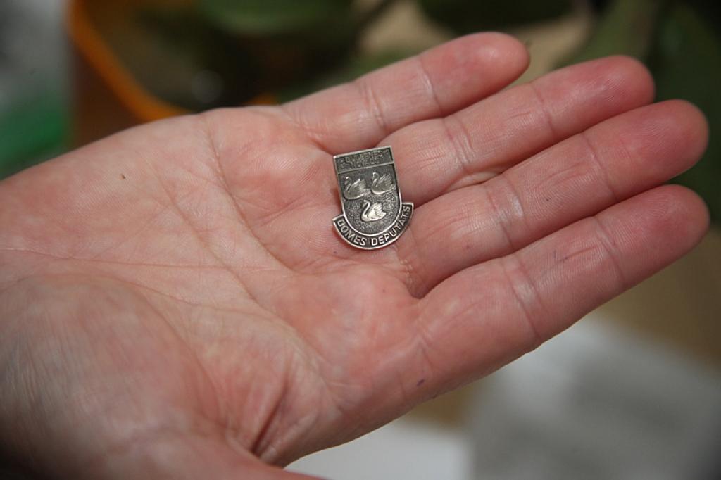 Izgatavotas pavisam 20 Gulbenes novada domes deputāta nozīmītes 338,80 latu vērtībā. Tās ir no tīra sudraba. Vienas nozīmītes izmaksas – 16,94 lati.
Autors: Gatis Bogdanovs