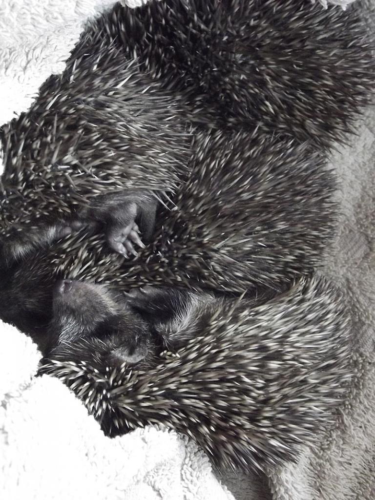 Autors: No personiskā arhīva