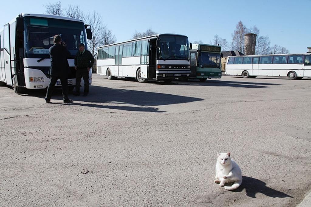 Autors: Gatis Bogdanovs (no arhīva)