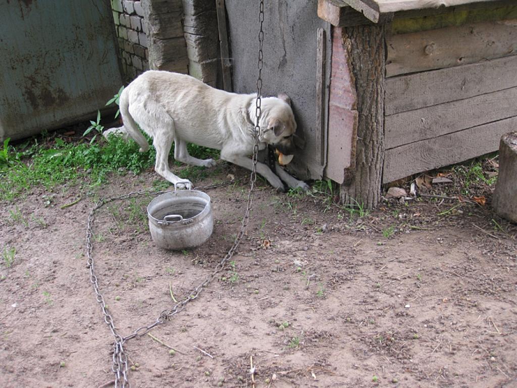 Autors: Diāna Odumiņa