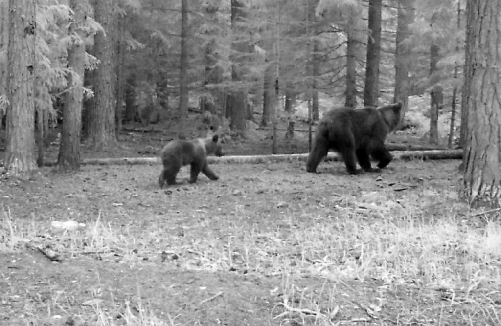 Autors: no Jurija Prokofjeva personiskā arhīva