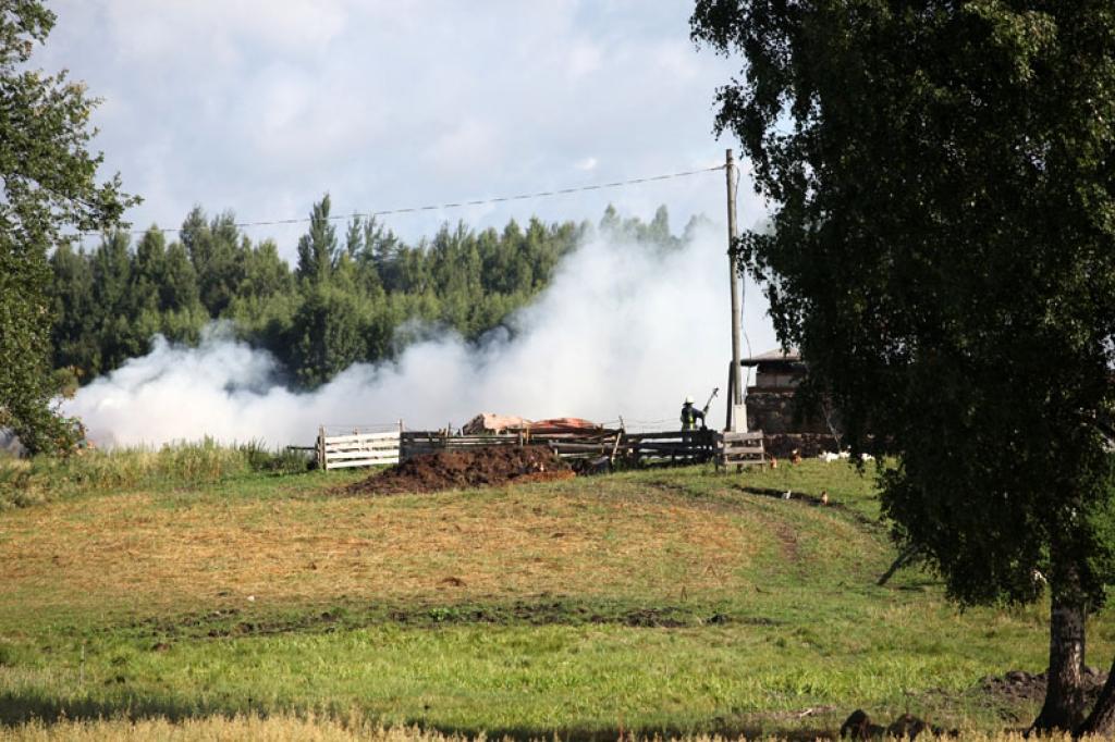 Autors: Gatis Bogdanovs