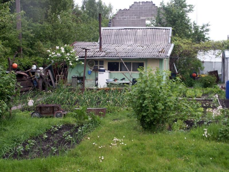 Autors: No interneta