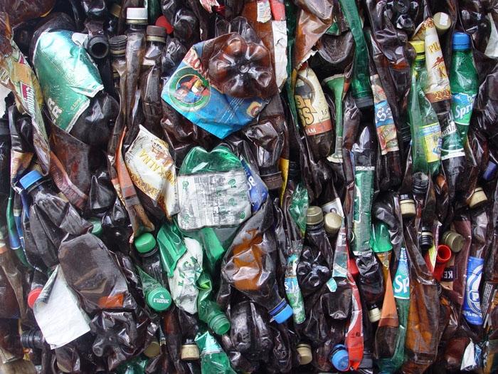 PET pudeles.
Autors: Publicitātes foto.