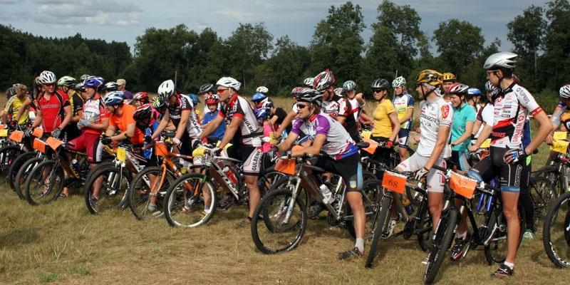 Autors: Džerijs Šterns