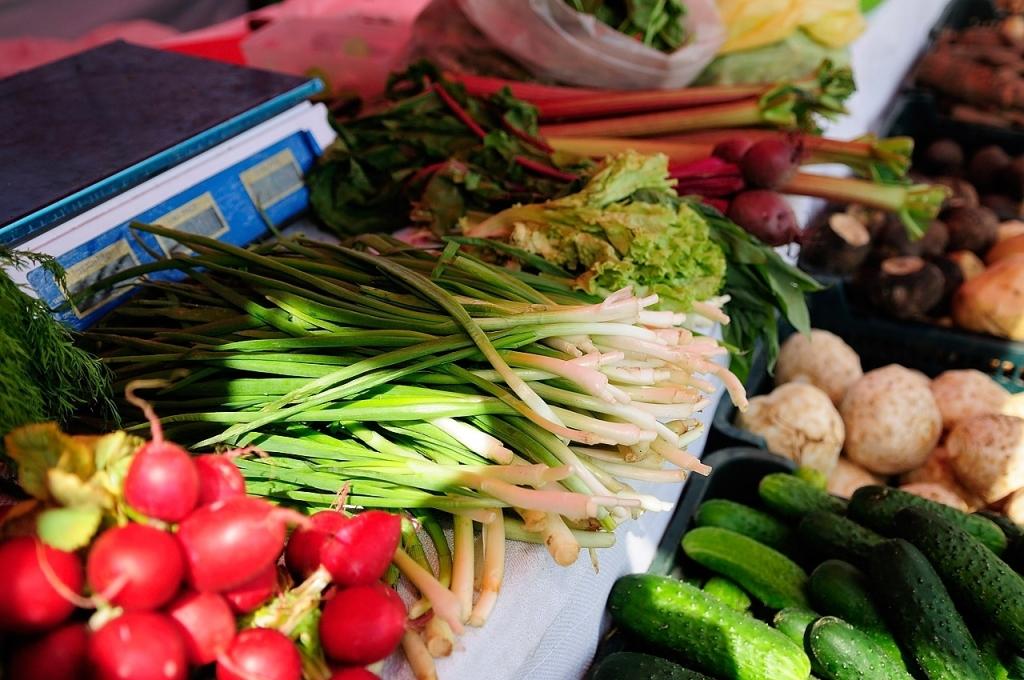 Autors: No personiskā arhīva