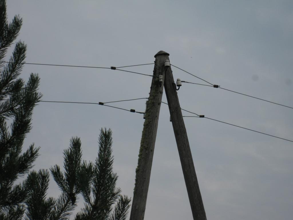 Autors: Pārsla Konrāde