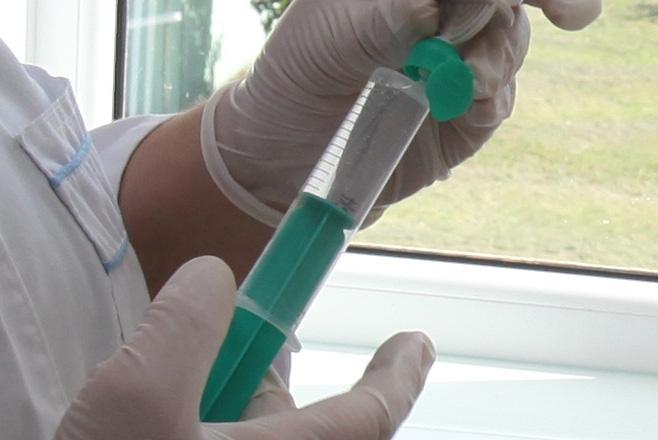 Autors: Gatis Bogdanovs