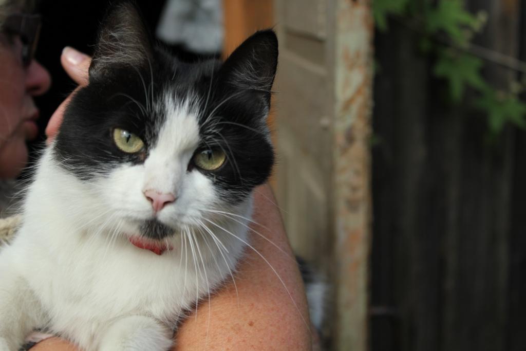 Autors: Privātais arhīvs