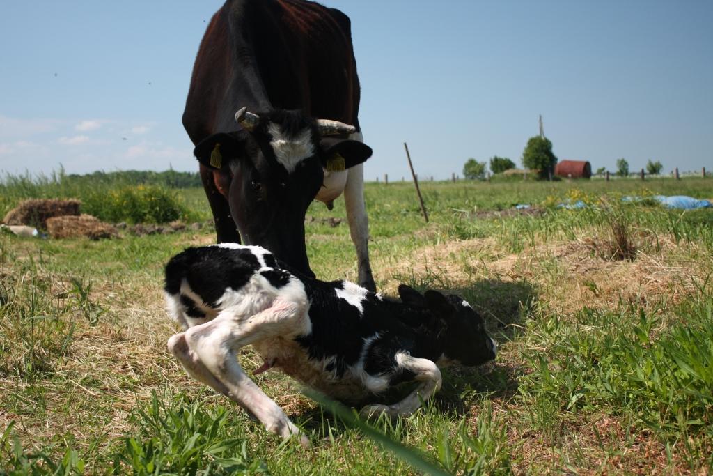 Autors: Aija Konrāde